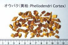 Drug for dispensing (Phellodendron Bark)