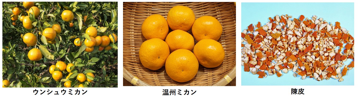 陳皮/橘皮